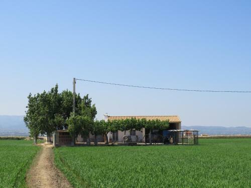 Agroturismo Caseta Montanyana