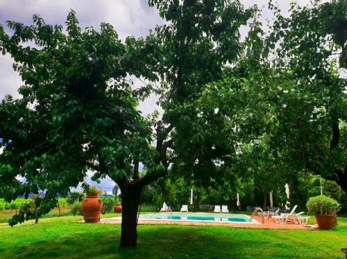 Agroturismo Agriturismo Il Sole Verde