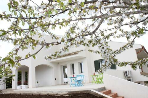 Agroturismo Casa Vacanze La Gebbia