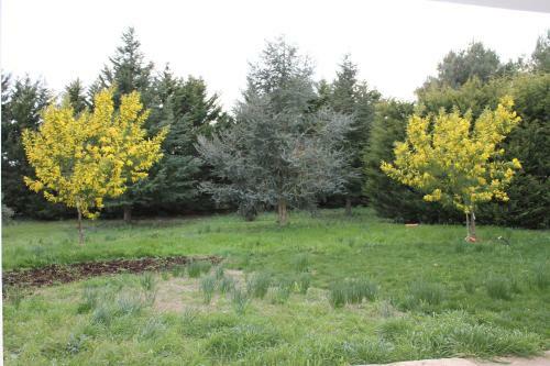 Agroturismo Casa Vacanze La Gebbia