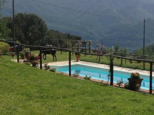 Agroturismo Agriturismo Il Tiglio