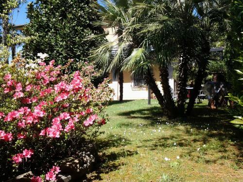 Apartamento Villa Celeste