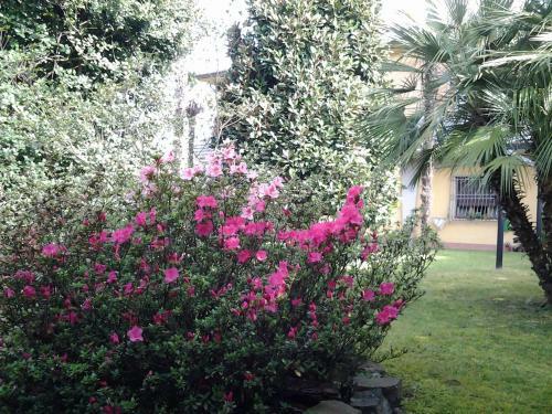 Apartamento Villa Celeste