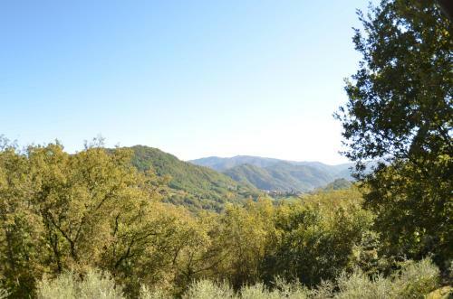 Vignoli
