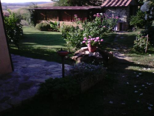Hostal Agriturismo Podere Micitto