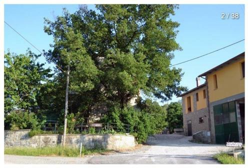 Agroturismo Agriturismo I Fondacci