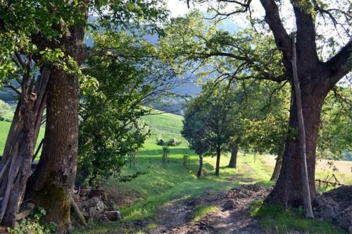 Agroturismo Agriturismo I Fondacci