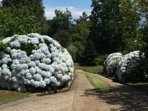 Agroturismo Quinta Das Faias