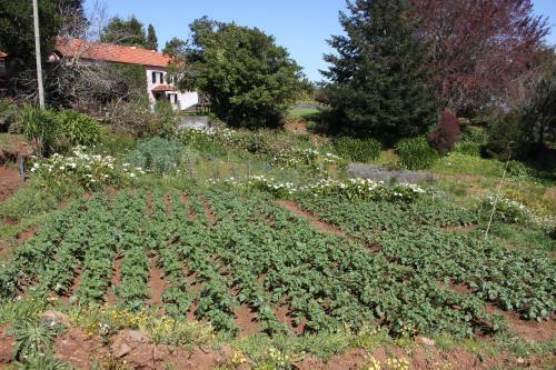 Agroturismo Quinta Das Faias