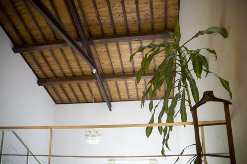 Agroturismo Pico Do Ref�gio - Casas De Campo