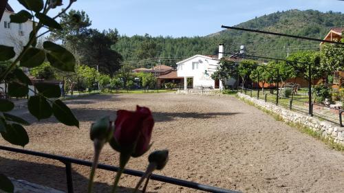 Oranj Ranch Hotel