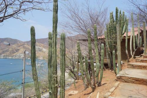 Hotel Cactus Taganga