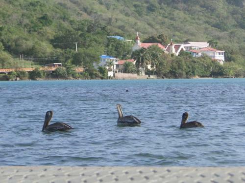 Posada Sunshine Paradise