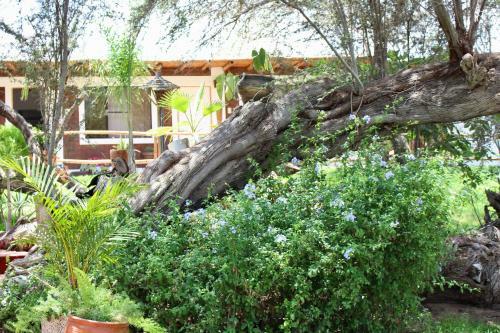 Hostal Rochabus