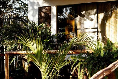 Hostal Rochabus