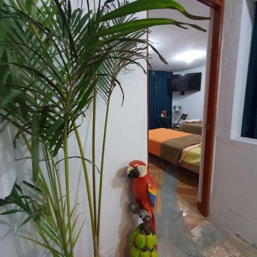Lima Airport Hostel