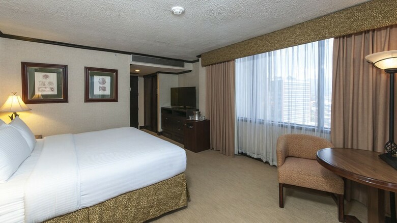 Hotel Holiday Inn San Jose-aurola