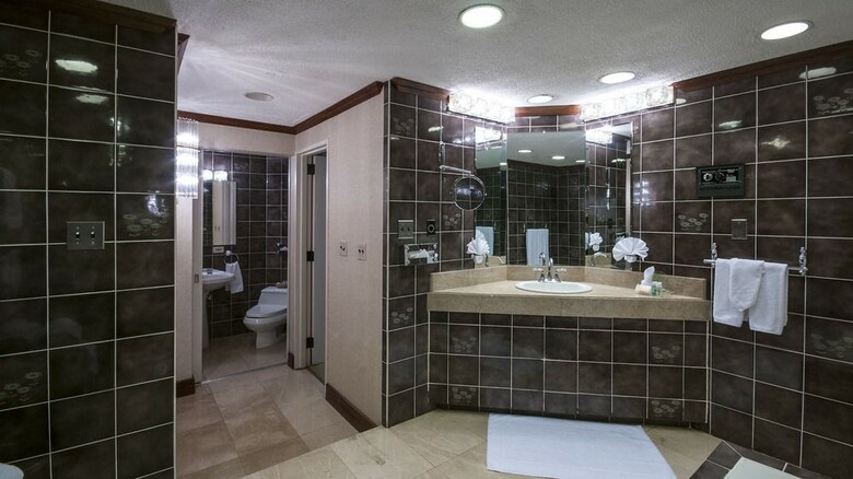 Hotel Holiday Inn San Jose-aurola