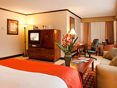 Hotel Holiday Inn San Jose-aurola
