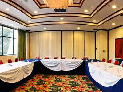 Hotel Holiday Inn San Jose-aurola