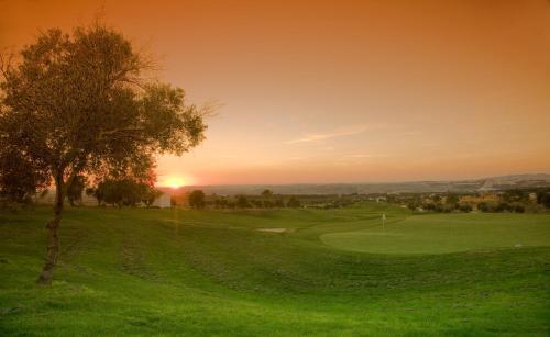 Arcos Fairways