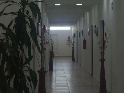 Hotel Plaza Almendros