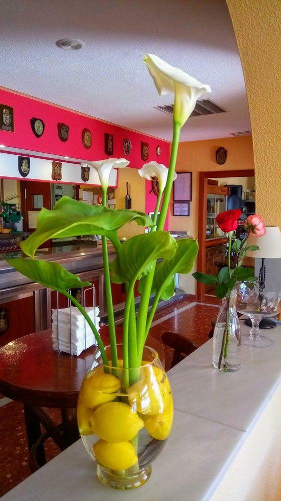 Hotel Arrayanes Playa