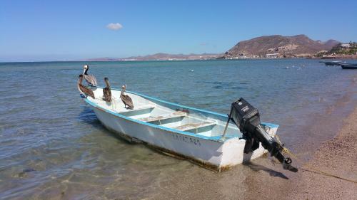 Bed & Breakfast Posada Colibri