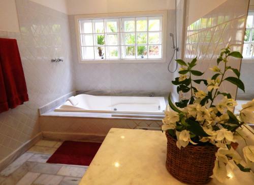 Hostal Pousada Quinta Do Alto