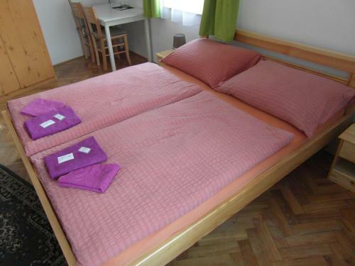Hostal Pension U Soudu