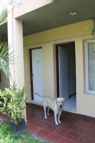 Sosahaus Hostel Mendoza
