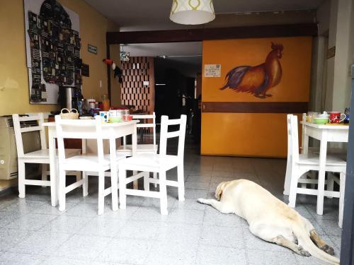 Sosahaus Hostel Mendoza