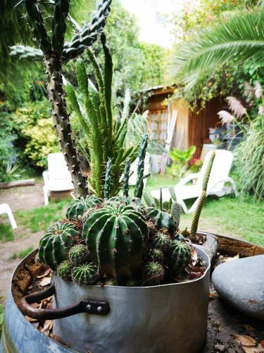 Sosahaus Hostel Mendoza