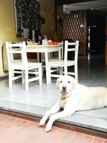 Sosahaus Hostel Mendoza