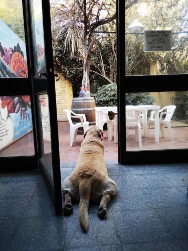 Sosahaus Hostel Mendoza