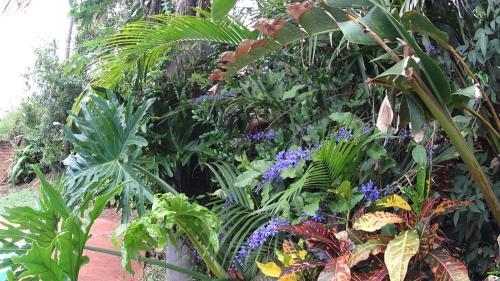 Bed & Breakfast Residencial Iguazu Villa 14