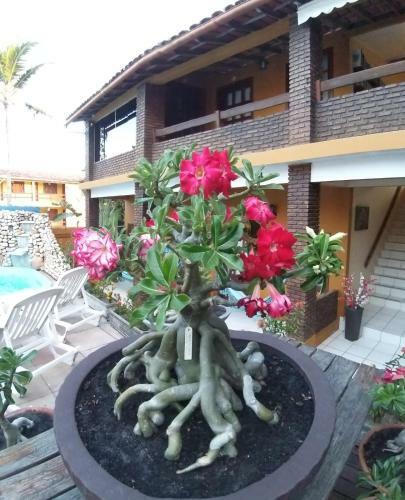 Hostal A Flor Da Terra Pousada