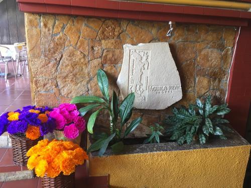 Hotel Posada Aguila Real