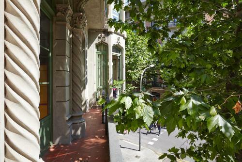Black Swan Hostel