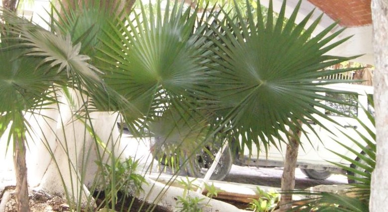 Apartamento Casa Del Sol