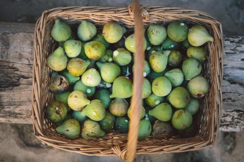 Agroturismo Can Torna