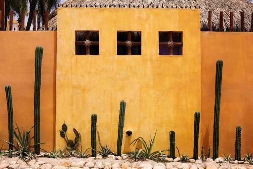 Albergue One Love Hostal Puerto Escondido