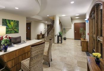 El Colibri Boutique Hotel & Spa