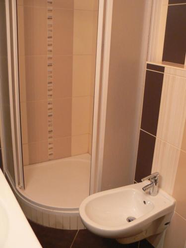 Apartamento Rokytnice 434