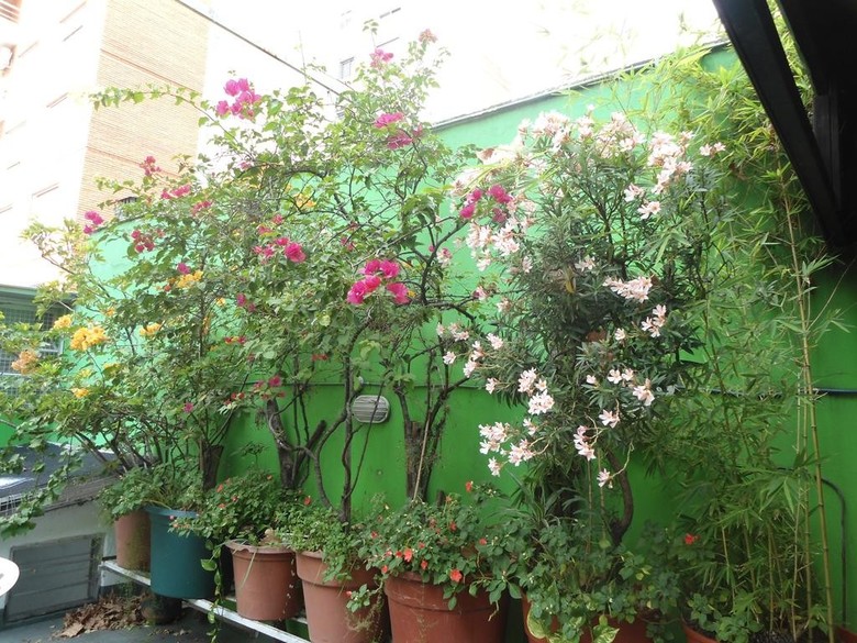 Apartamento Tango Cozy Home