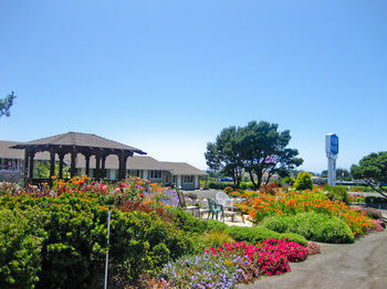 Surf Motel And Gardens