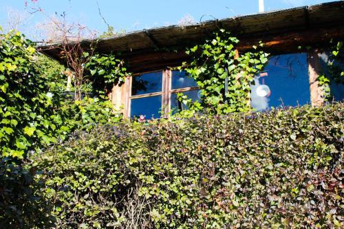 Agroturismo Cortijo Los Iberos "casa Ibero"