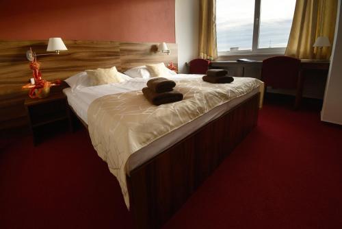 Hotel Palc�t