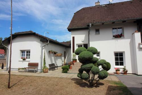 Hostal Penzion Olga