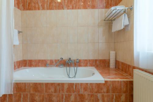 Hotel Ensana Centr�ln� L�zn? - Maria Spa